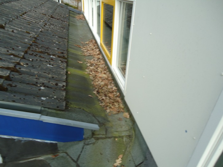 Dakonderzoek schoolgebouw Wijster